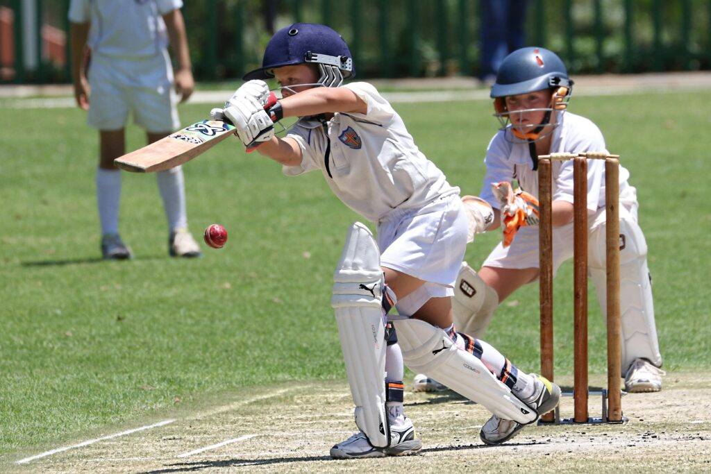 IPL 2025 Empire Retirement