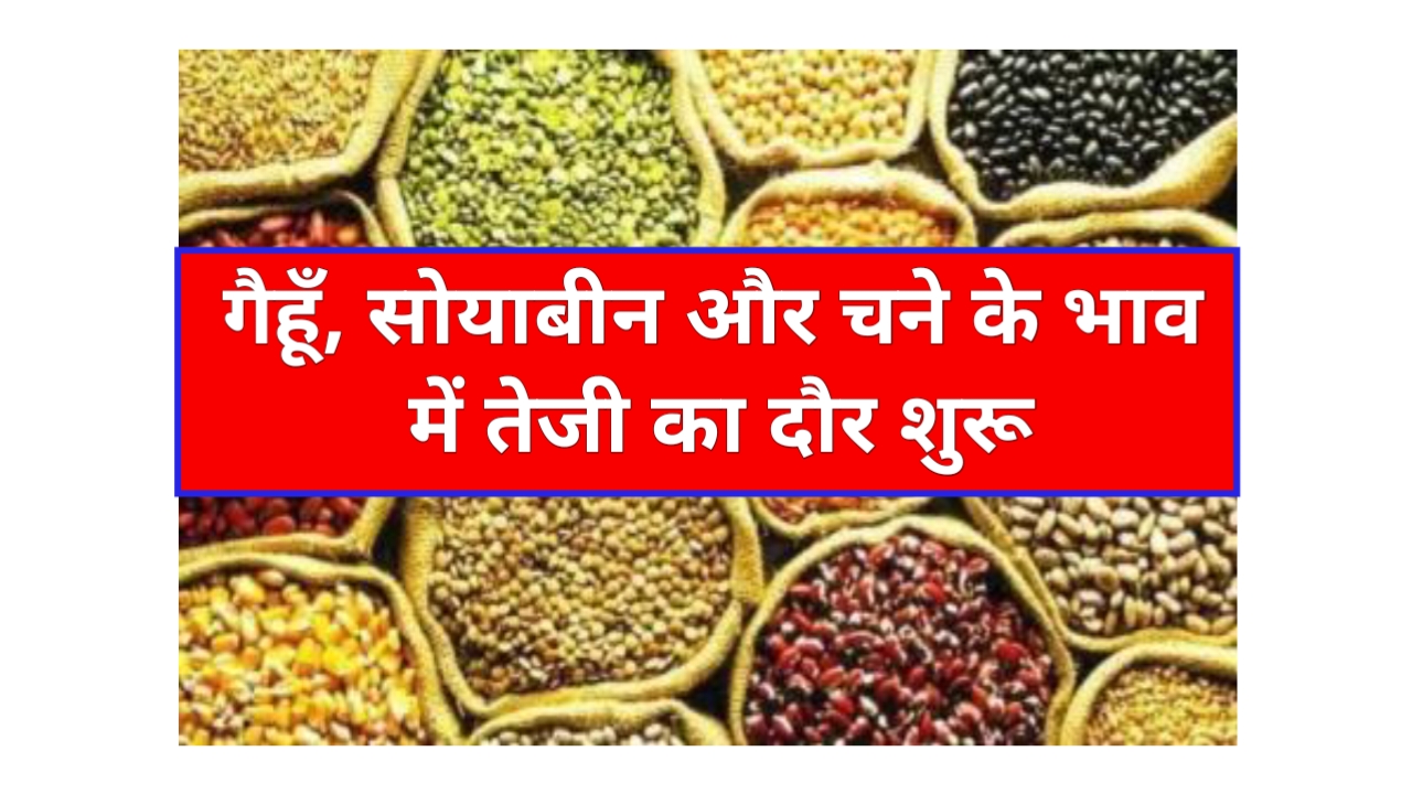 Mandi Bhav 17 April